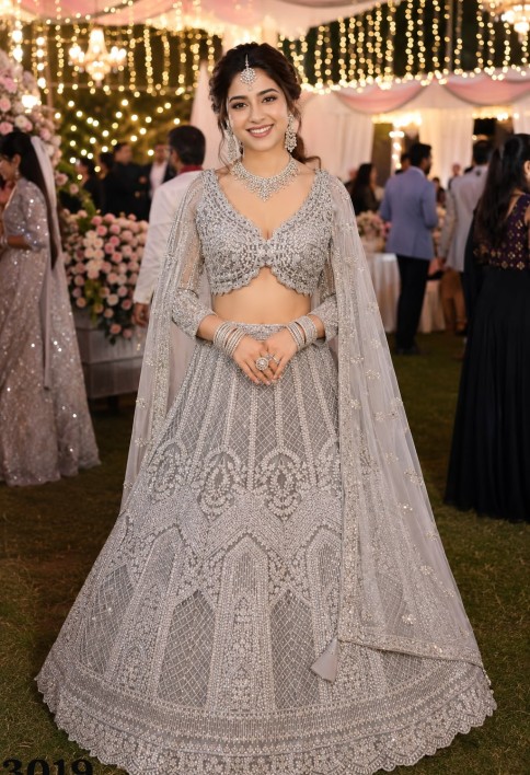 Grey Net Lehenga Choli with Embroidered and Thread Work